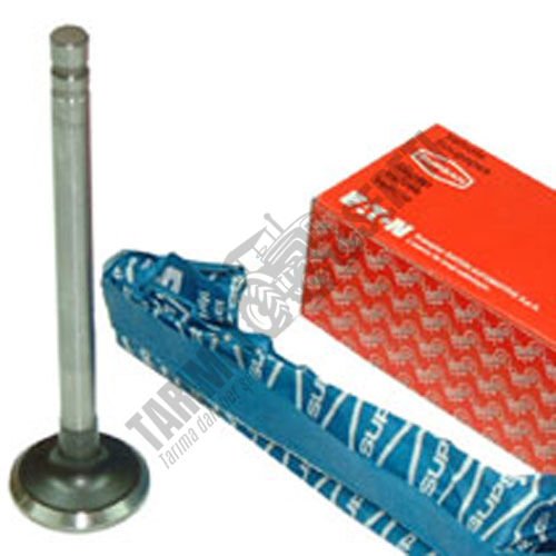 SUPAP STD EGZOZ (11152)