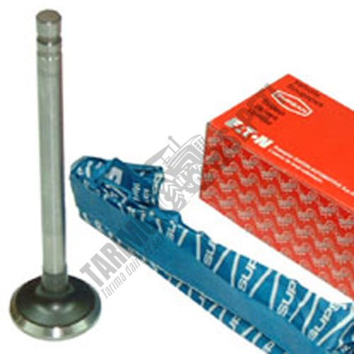 SUPAP 0.10 EGZOZ (6361)