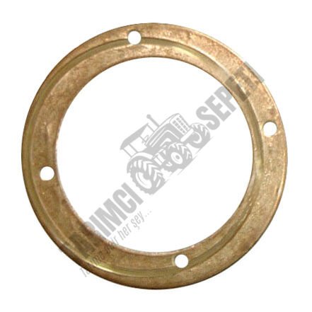 ŞANZIMAN SARI PUL (FOSFOR BRONZ)