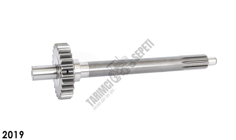 PRİZDİREK MİLİ MEMELİ 24/10 DİŞ