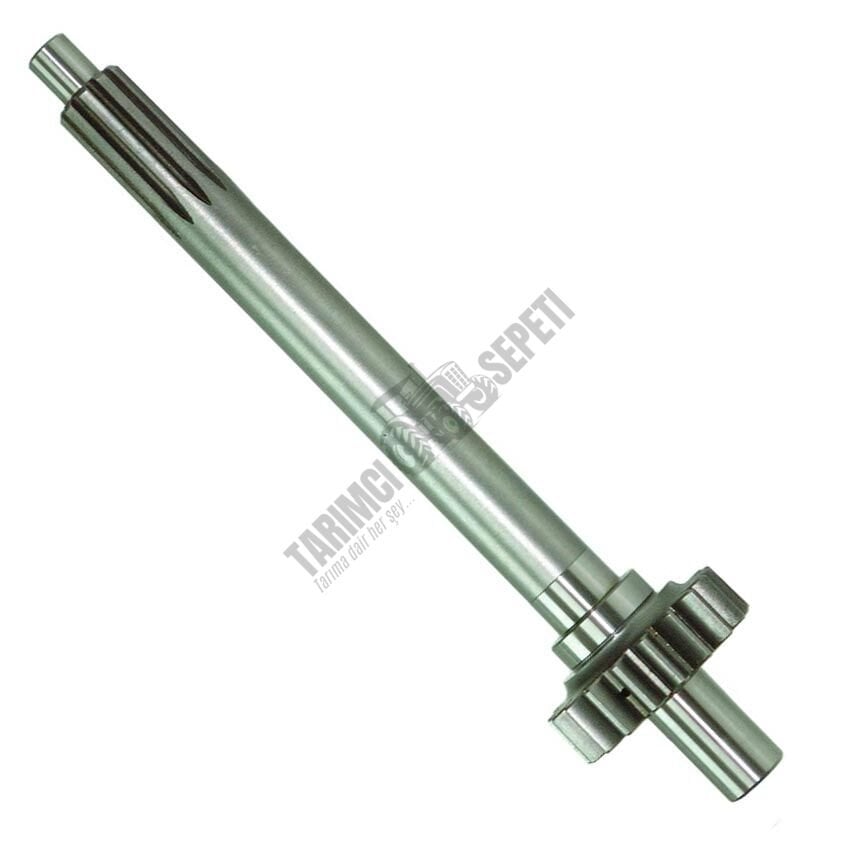 PRİZDİREK MİLİ 8.VİT. MEMELİ 18/10 DİŞ