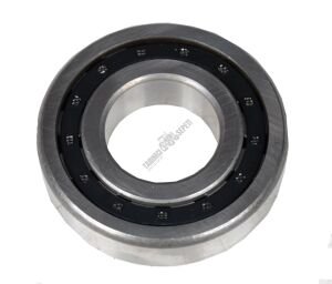 RULMAN NJ-310