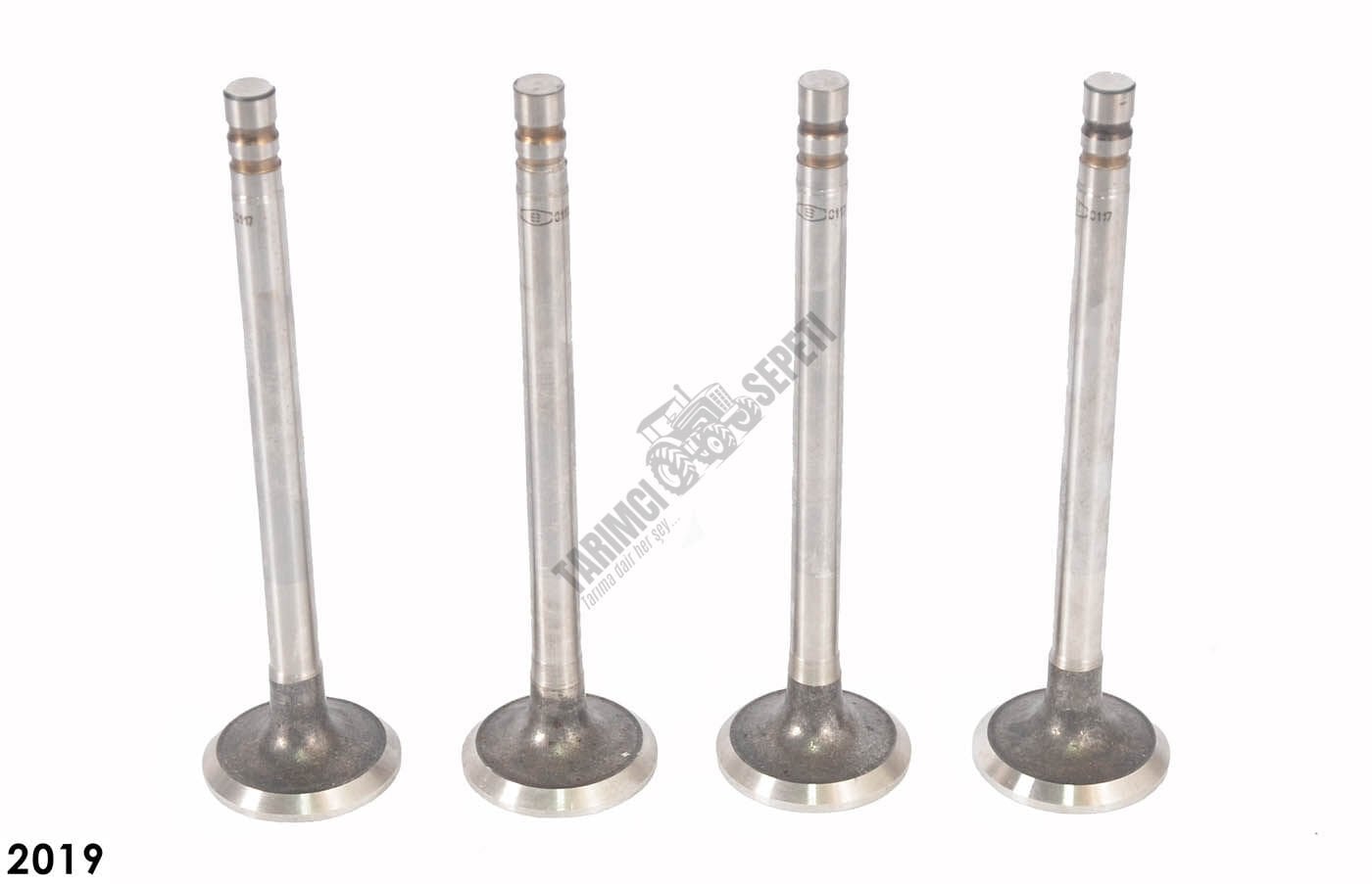 SUPAP STD EGZOZ 0.5 KALIN (40217)