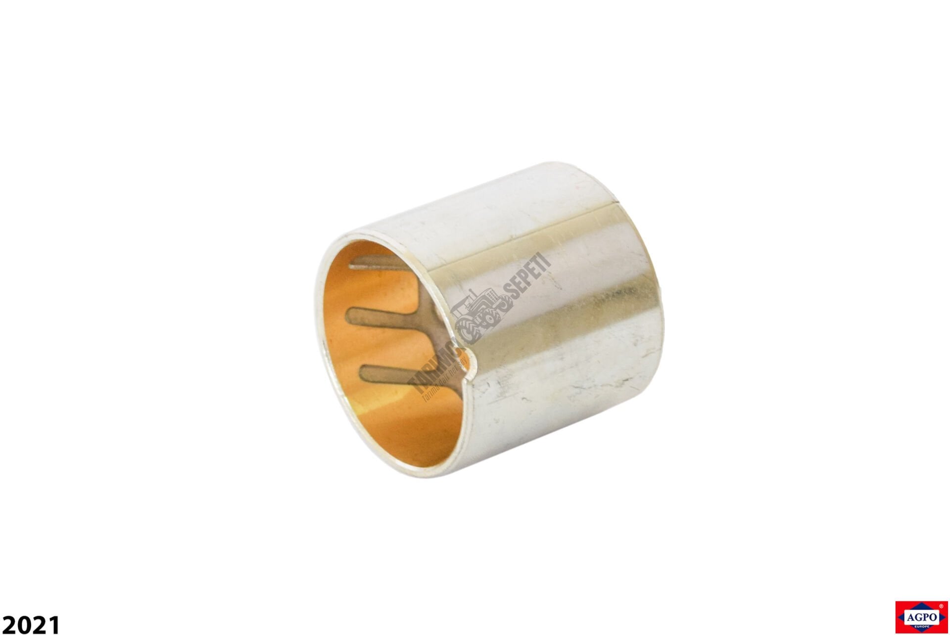 ÖN DİNGİL BURCU KERTİKLİ