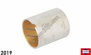 ÖN DİNGİL BURCU KERTİKLİ