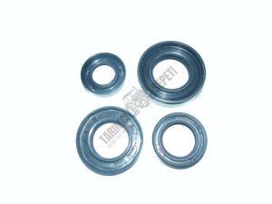 ŞANZIMAN YAĞ KEÇELERİ TAKIM