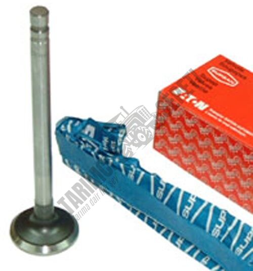 SUPAP STD EGZOZ TEK TIRNAK