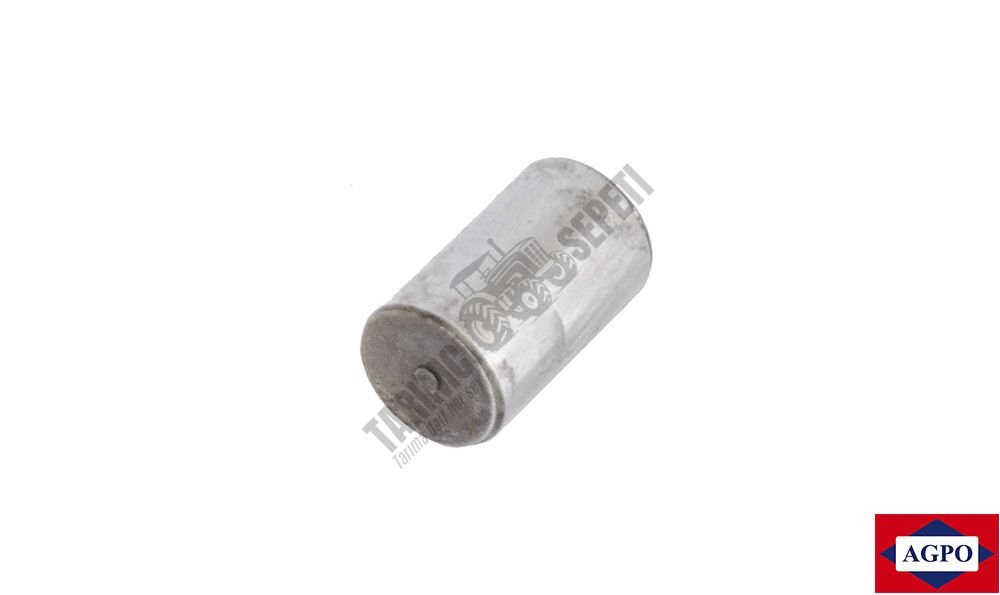 ŞANZ.ARKA KAPAK MERKEZ PİMİ BOY 20,63MM ÇAP 12,7MM