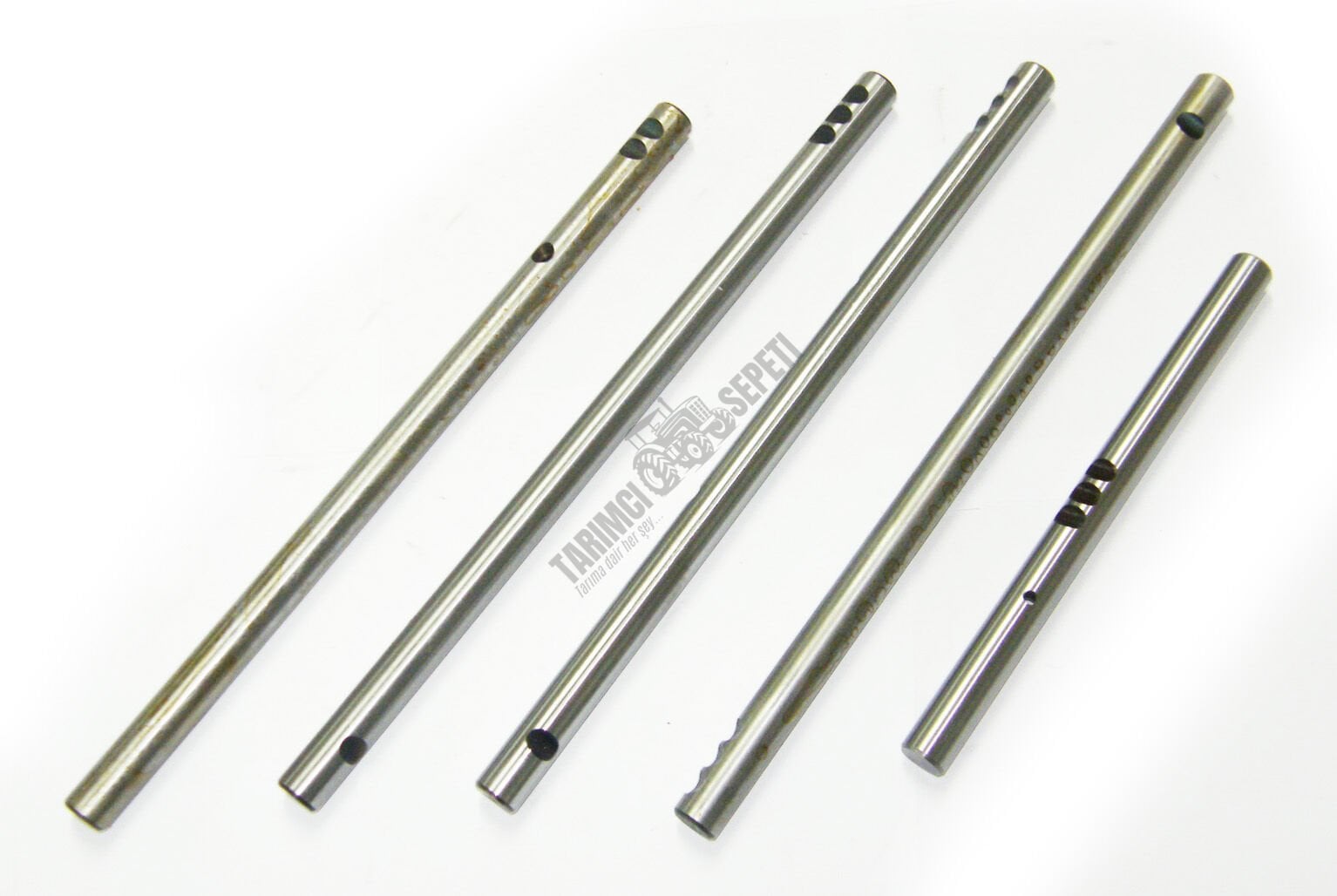 ŞANZIMAN VİTES MİLLERİ TAKIM