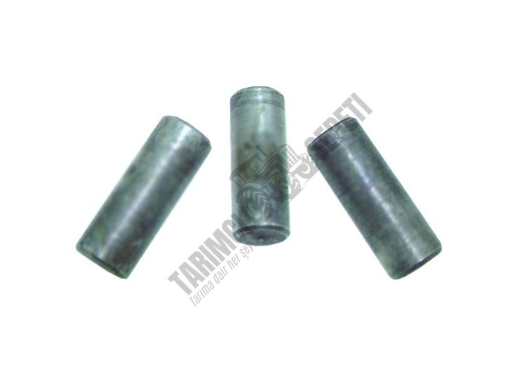 VİTES BİLYA YATAK KİLİT PİMİ