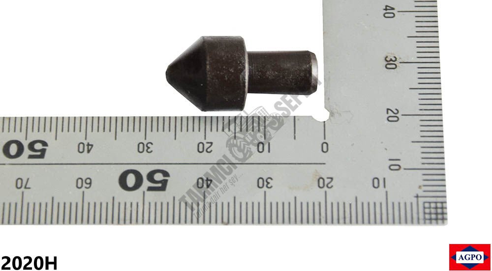 VİTES MİL ÇEKİRDEĞİ KISA EM.