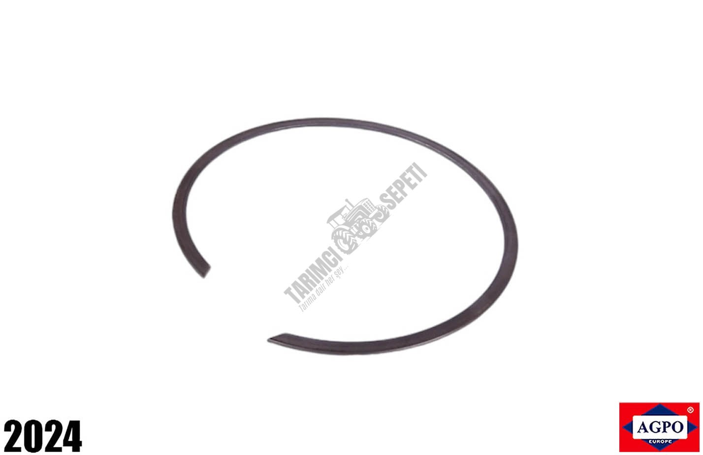 ŞANZIMAN SEGMANI ORTA