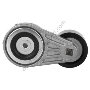 KOMPLE KAYIS GERGI