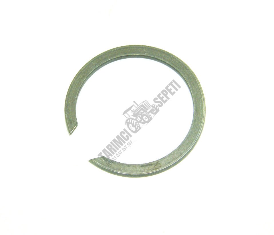 PRİZDİREK MİL SEGMANI