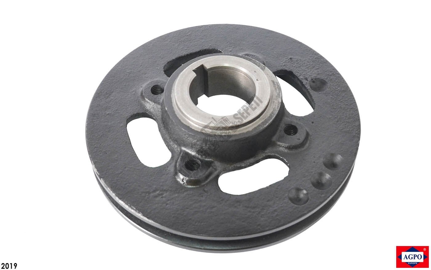 KRANK KASNAĞI SİYAH 1. KALİTE