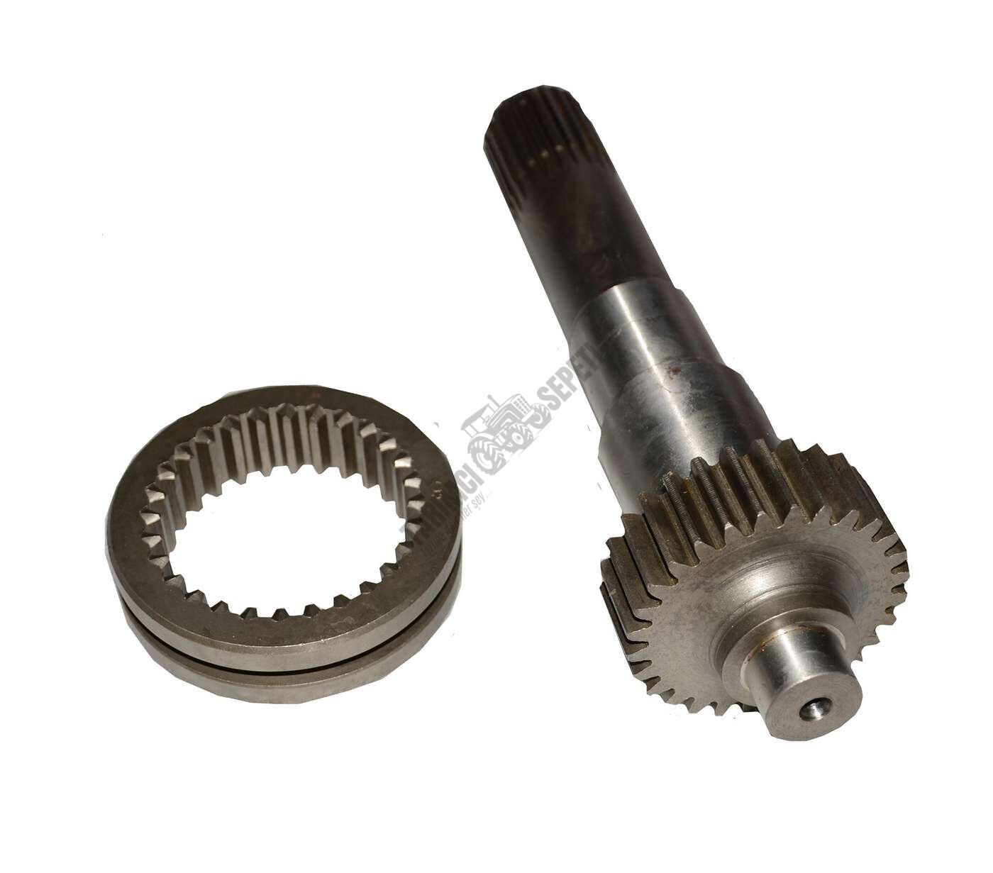 ŞANZIMAN KAPLİN VE MİLİ KOMPLE-UZUN