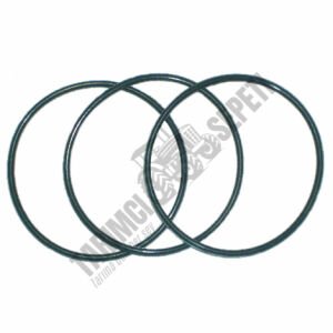 HİD.KADRAN GÖVDE O'RİNG LASTİK