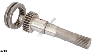 ŞANZIMAN KAPLİN VE MİLİ KOMPLE-KISA