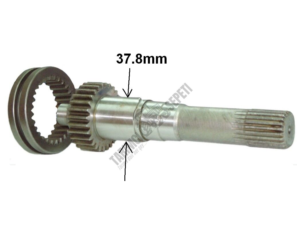 ŞANZIMAN KAPLİN VE MİLİ KOMPLE-UZUN