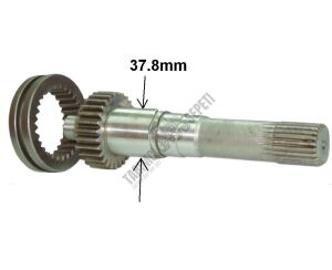 ŞANZIMAN KAPLİN VE MİLİ KOMPLE-UZUN