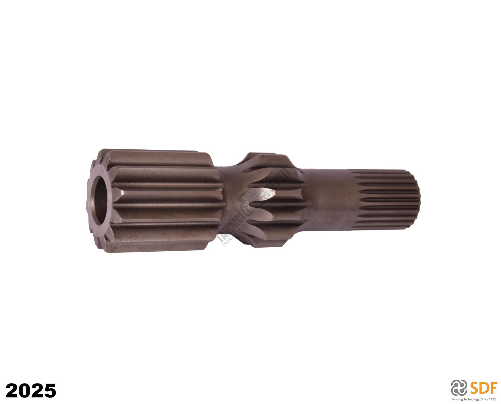 ARKA SOL KISA AKS (21 cm)