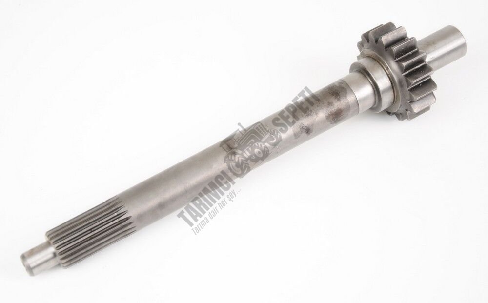 SENK.PRİZDİREK MEMELİ 16 DİŞ