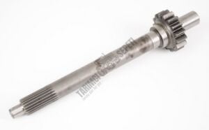 SENK.PRİZDİREK MEMELİ 16 DİŞ