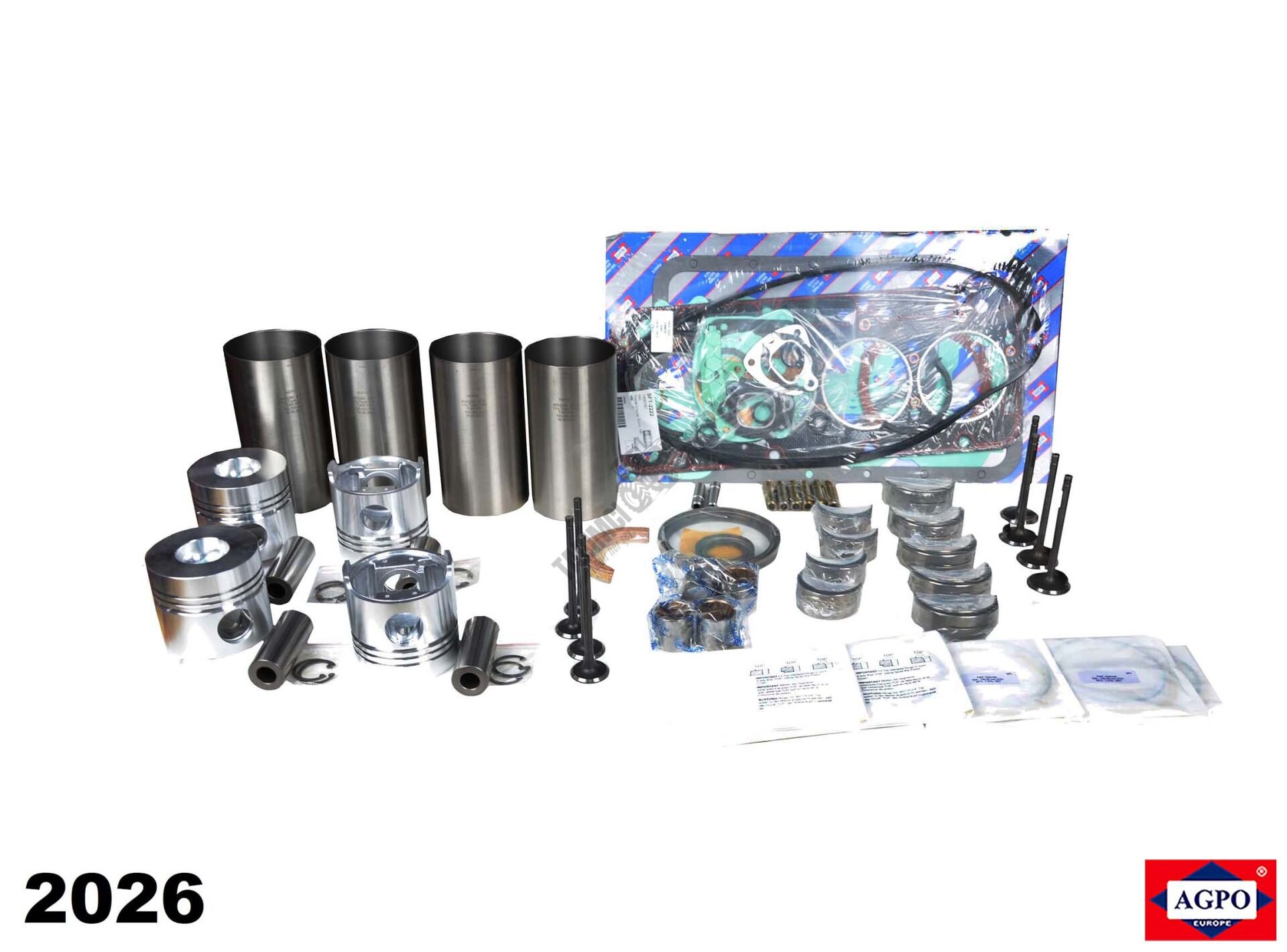 MOTOR REVİZYON KİTİ (YEŞİL MOTOR 34 PİM)