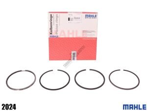 SEGMAN STD EM ( 100.2,5-2,5-2,5-5 MM (3919-00)