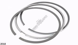 SEGMAN 3 LÜ SET.101,00 MM STD 2,5x2,0x3,0 MM