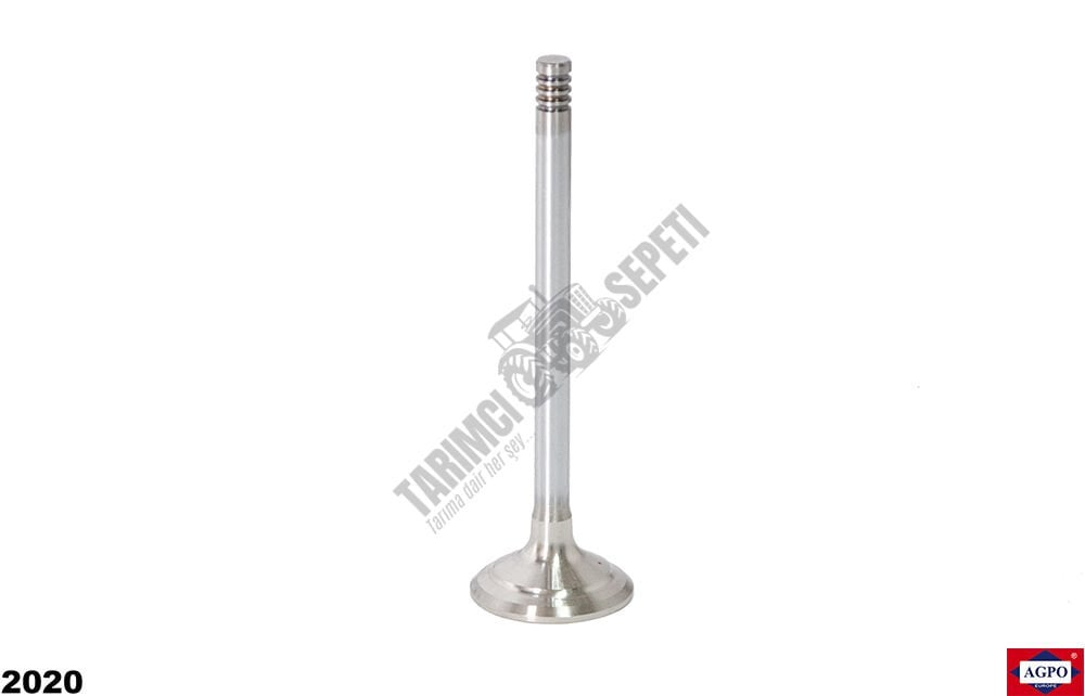 SUPAP STD EGZOZ 3 TIRNAK