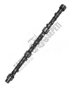 EKSANTRİK MİLİ 6.CYL.