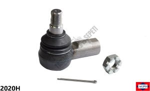 ROT BAŞI DİŞİ KISA KELEPÇESİZ