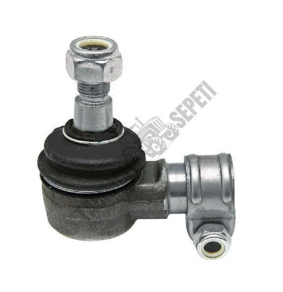 ROT BAŞI DİŞİ KISA KELEPÇELİ