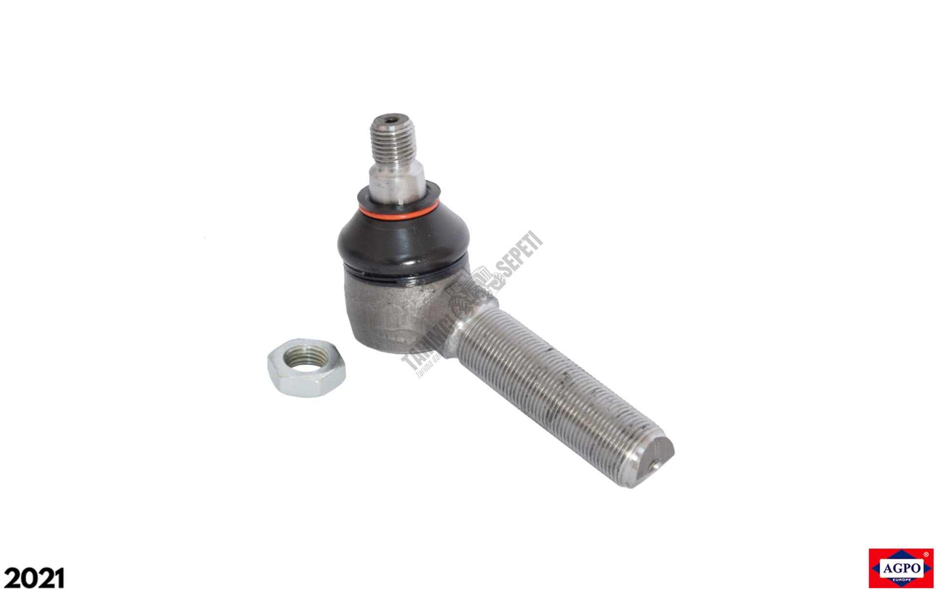 ROT BAŞI ARKA EĞRİ