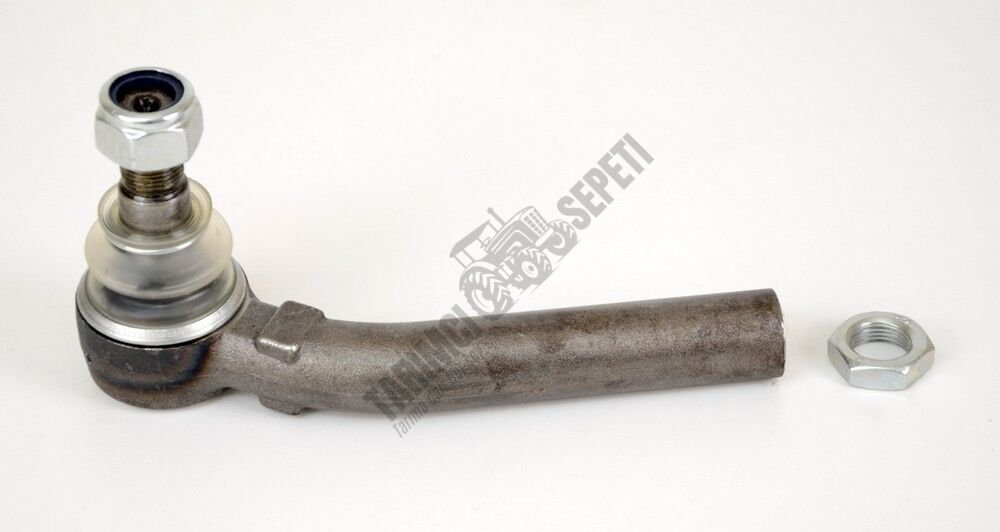 DİŞİ ROT BAŞI SAĞ