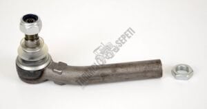 DİŞİ ROT BAŞI SAĞ