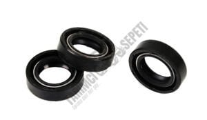 HİD.DİREKSİYON POMPA KEÇE ÇİFT YAYLI 40490