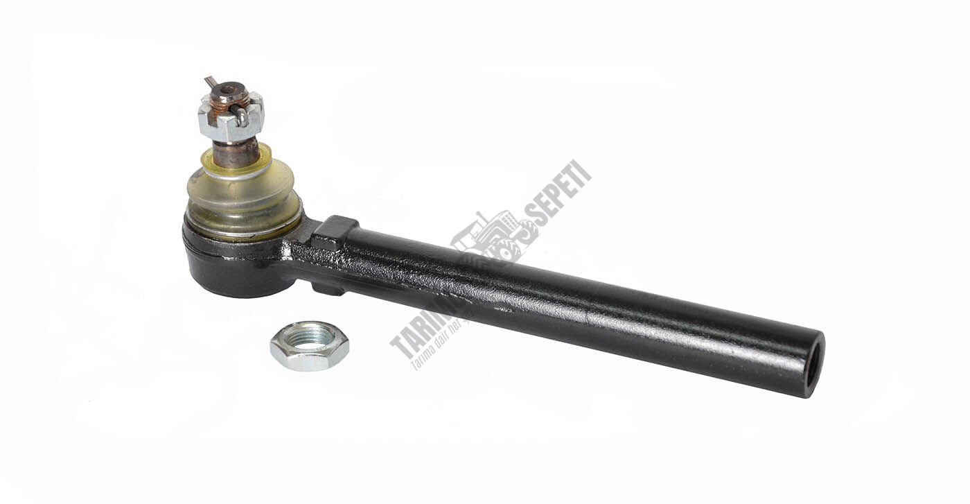 ROT BAŞI DİŞİ UZUN